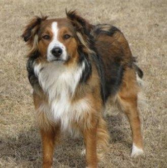 FlyBy's Cora Mae