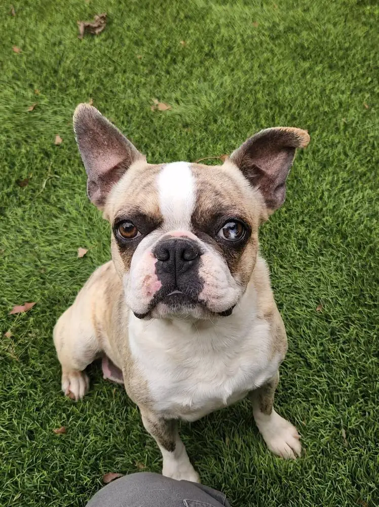 Just Because Nova
