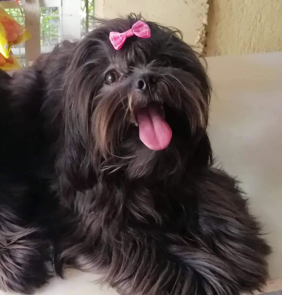 NALA