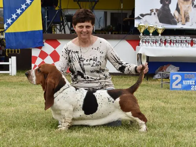 Tamsin Queen´s Hermelín