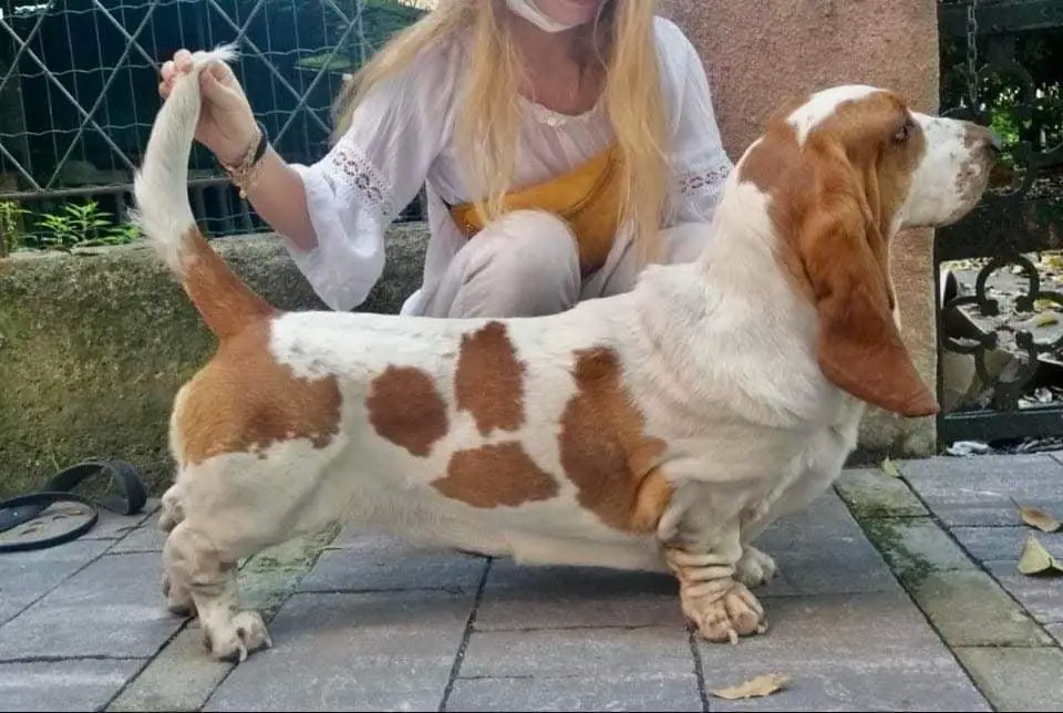 Ramona Di Casa Dal Pino