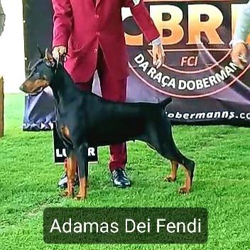 ADAMAS DEI FENDI