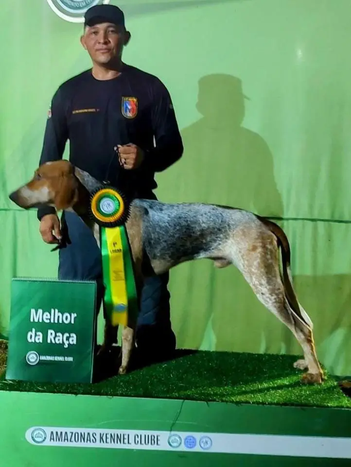 Cães Heróis Monã