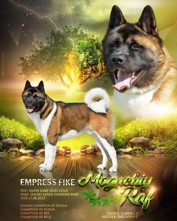 Empress Fike Moguchiy Raf
