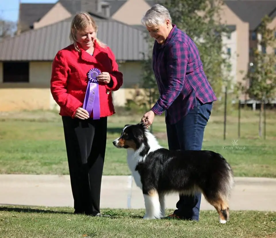 Woodhaven’s Dare To Dream At Adair