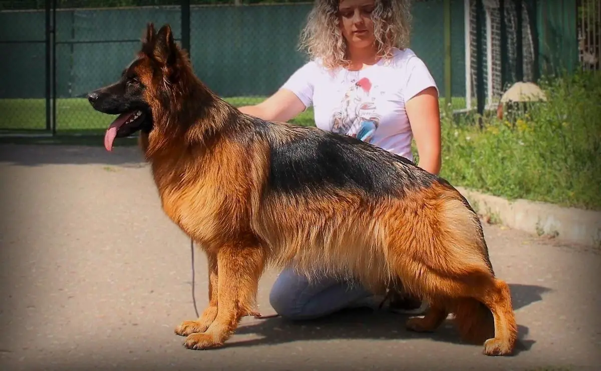 Team Zilber Wasserfall DINGA