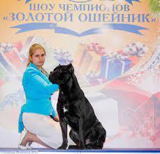 LORD DLYA DOMA ALVIK S ESENINSKOGO