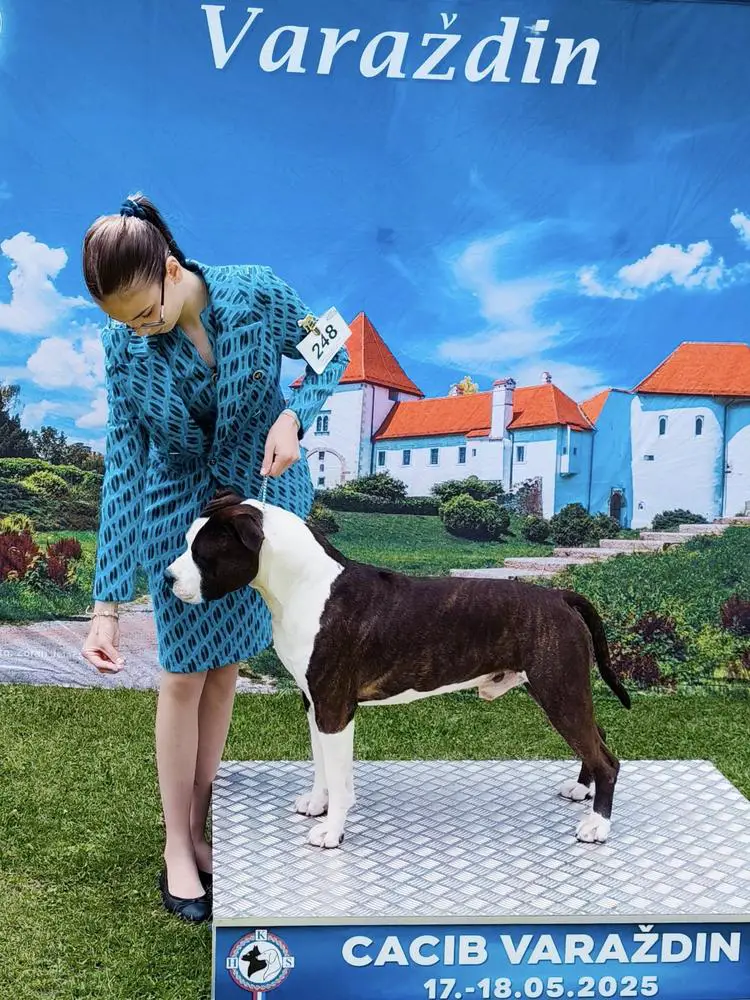 Playmaker's HR Rise of the Dragon