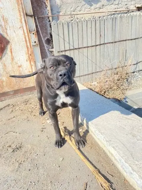 LUCY