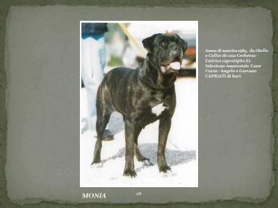 MONIA (AG94L2709)