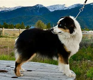 Back Country Bonnie Lass
