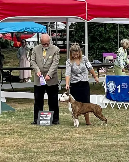 Zheltaia Rapsodia OMG at LBK Rebel and Proud