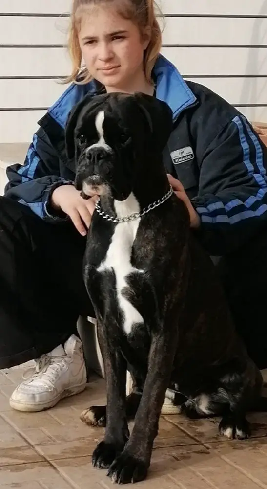 Frida Kahlo di Fragmabox