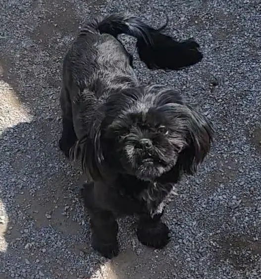 Just Because Onyx