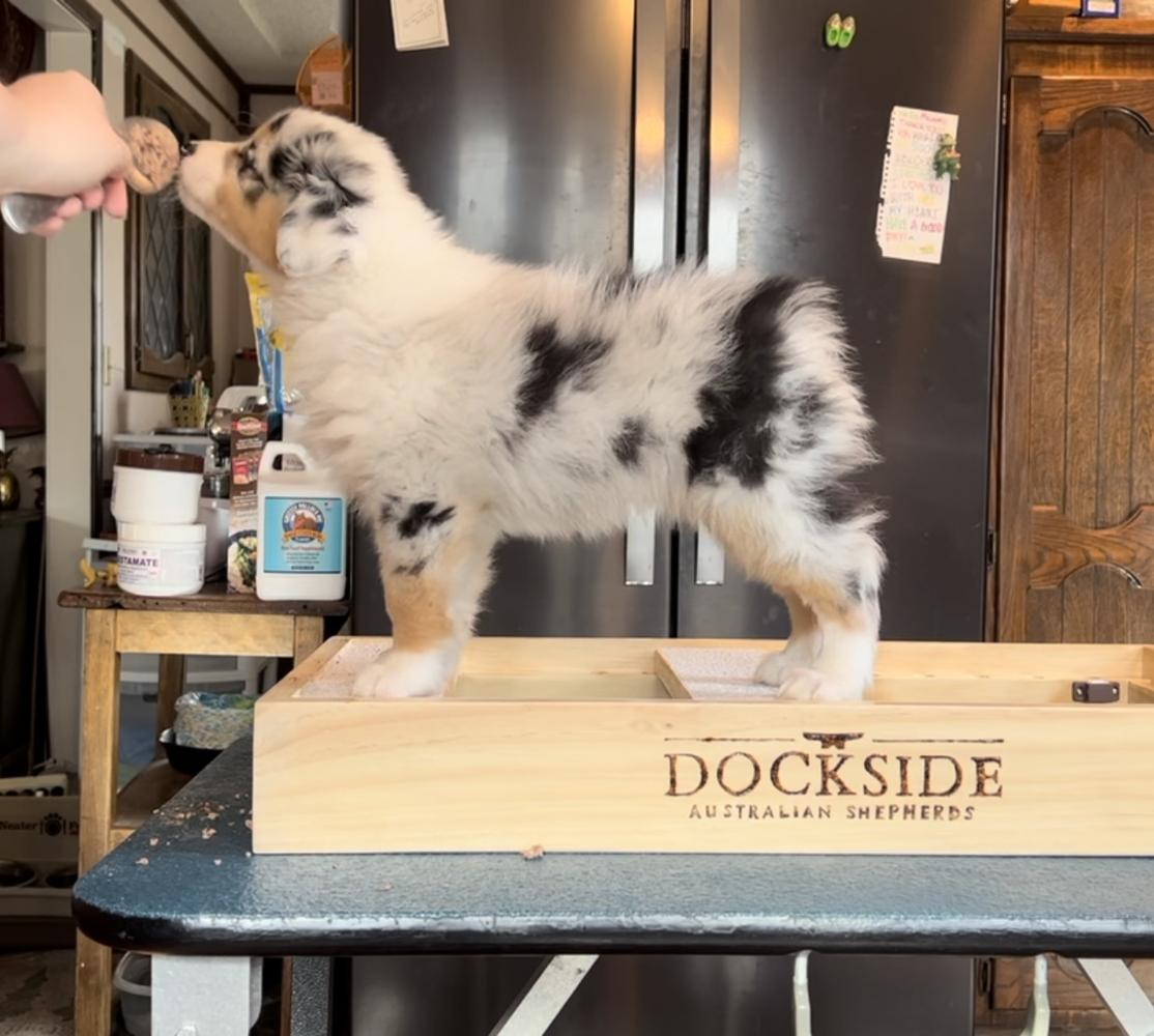 Dockside’s Livin’ It Up