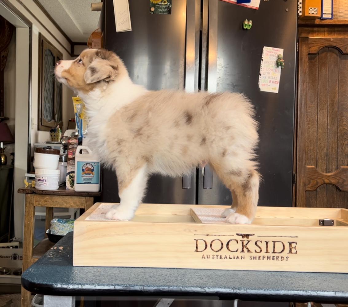 Dockside’s Hook Line & Sinker