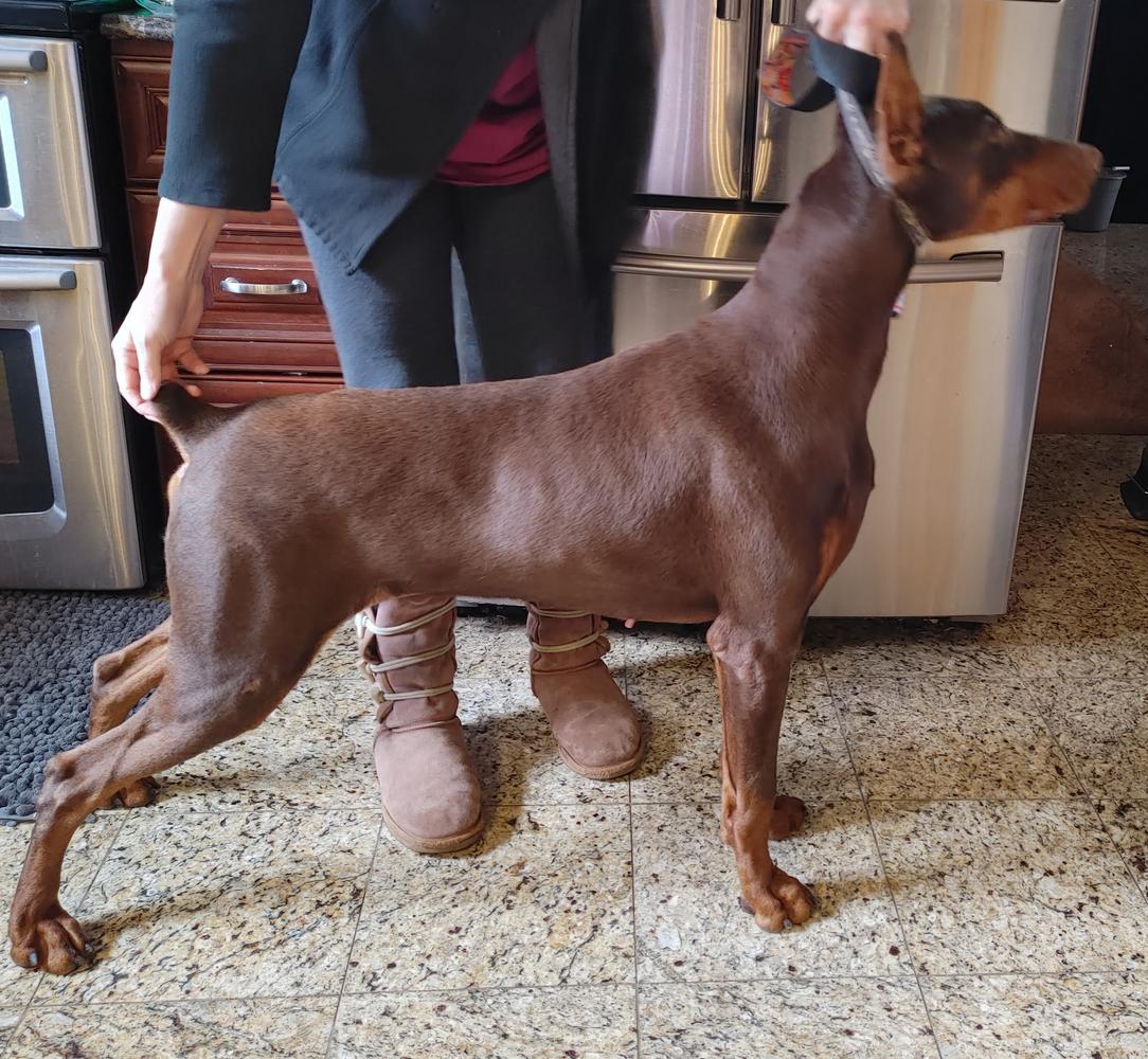 RUGER DER WACHTER VON BA