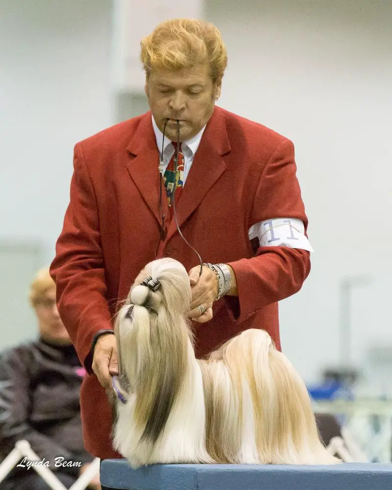 Ista's Southern Gentleman