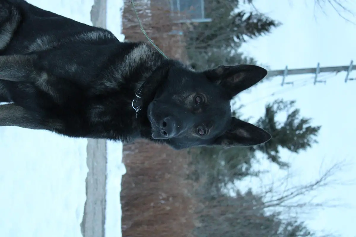 Finn Von Der Teufelsgrat