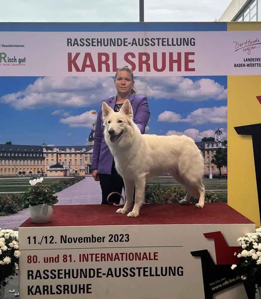 Merkur‘s White Wolves Aurora Antarktika