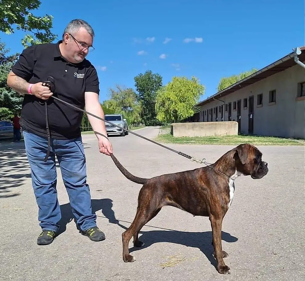 Lucrezzia Valahus Kennel