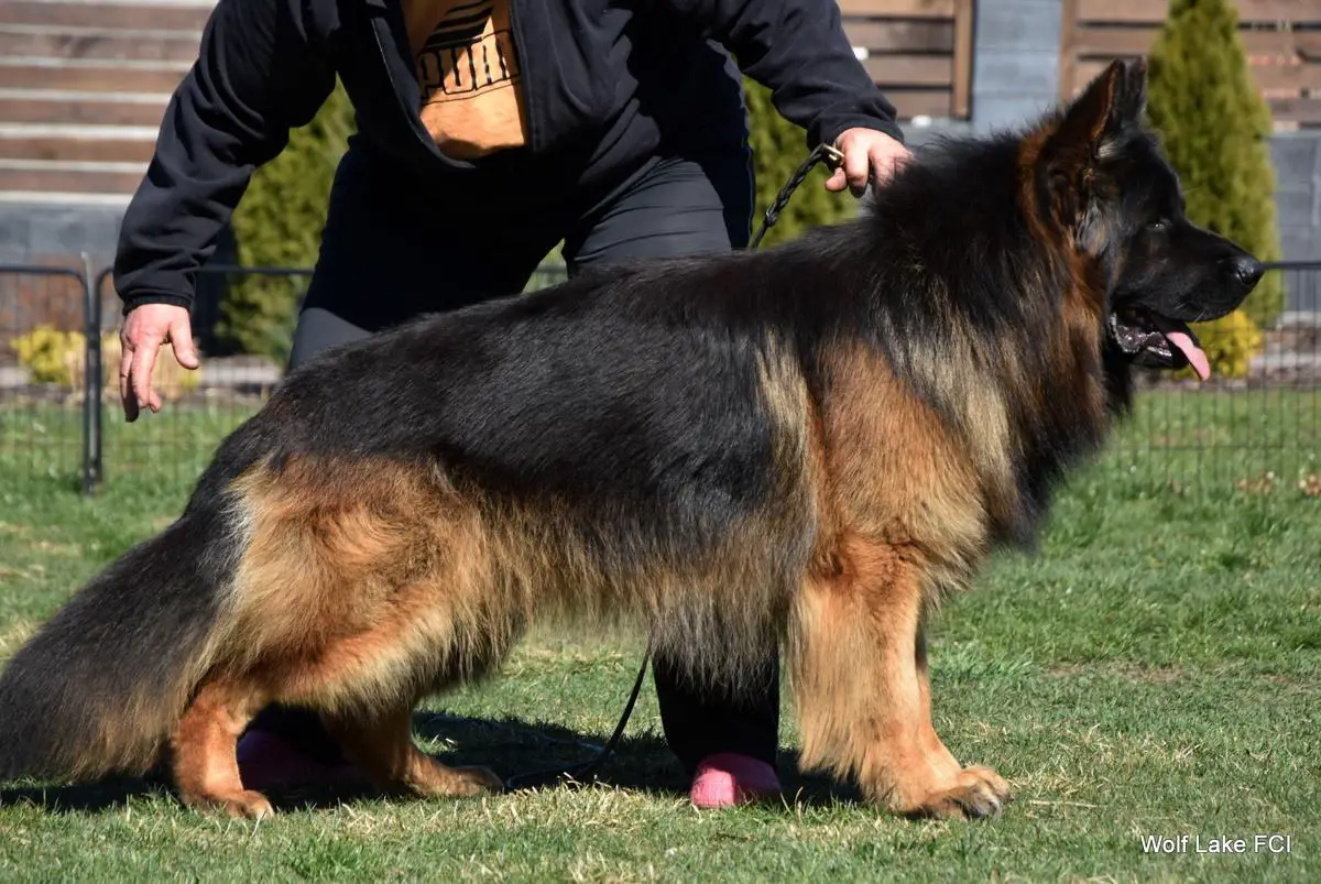 NEYMAR di Casa Massarelli