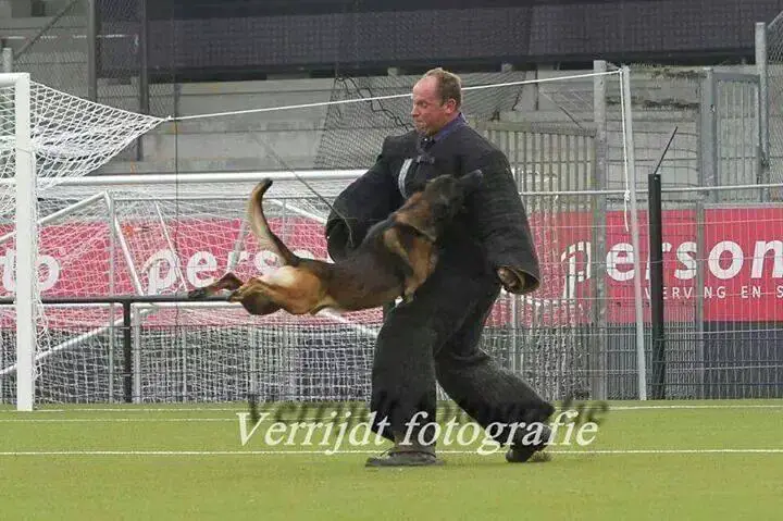 Nico van Middendorp