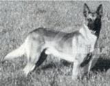 Basco van de Oetelaar