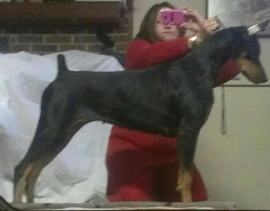 Mariah's Warrior Xena