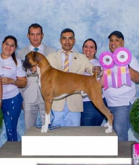 El Patron de Ralroc