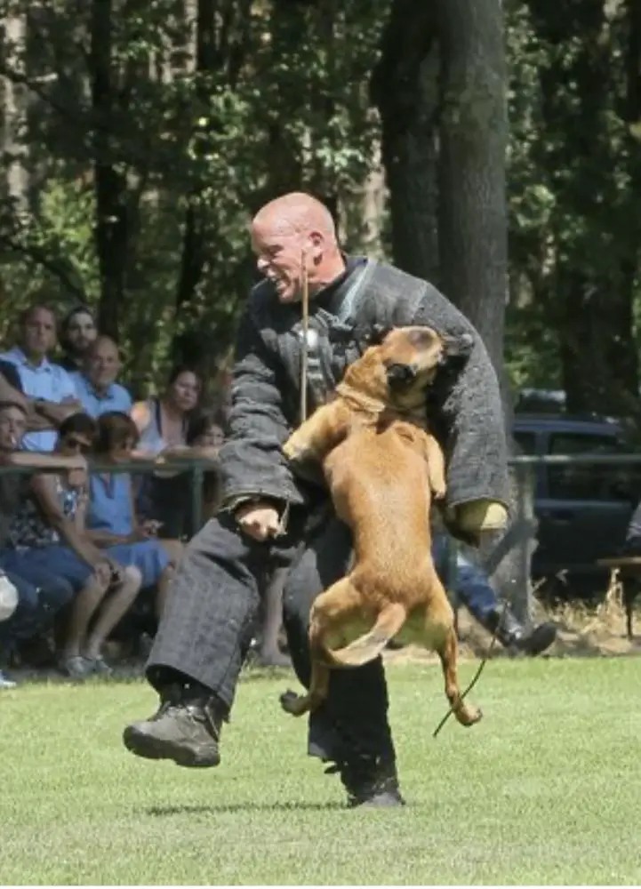 Nike Perle De Tourbiere