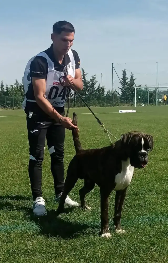 Dinatale De La Gran Coraza