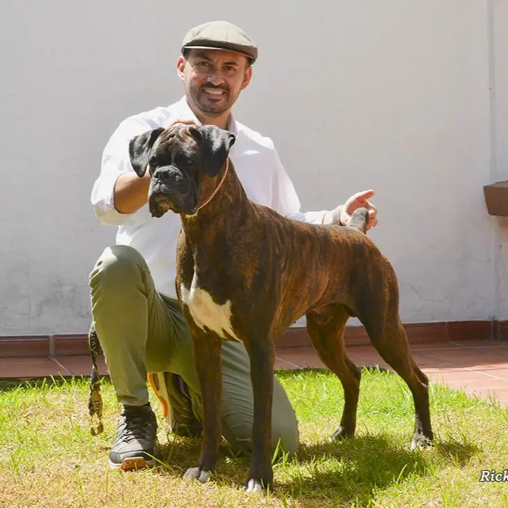 COLOSO DE TORREALBA