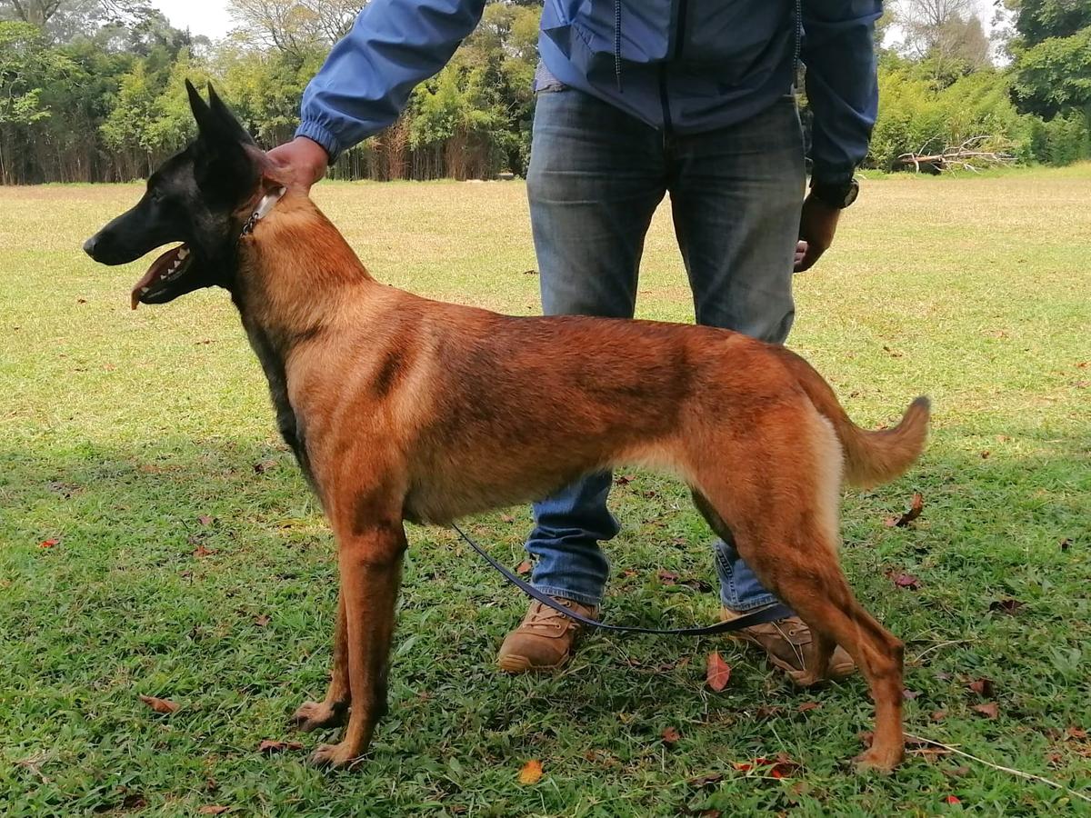 Belen von der Zinnober Zonne