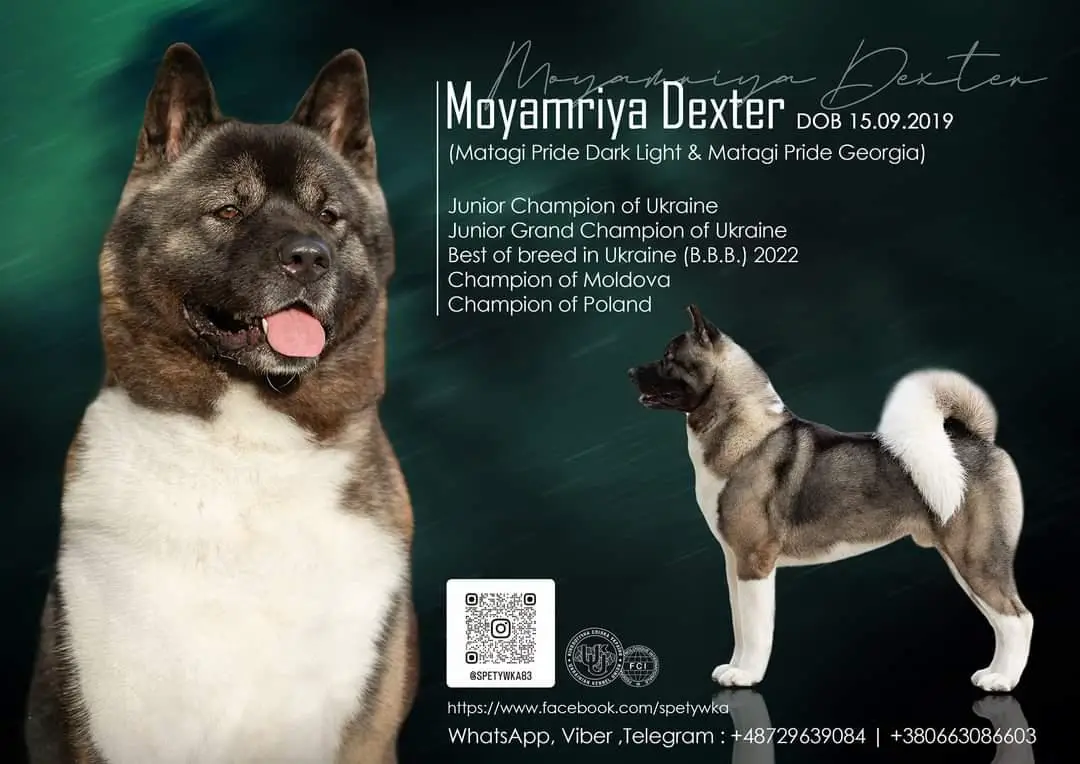 MoyaMriya Dexter