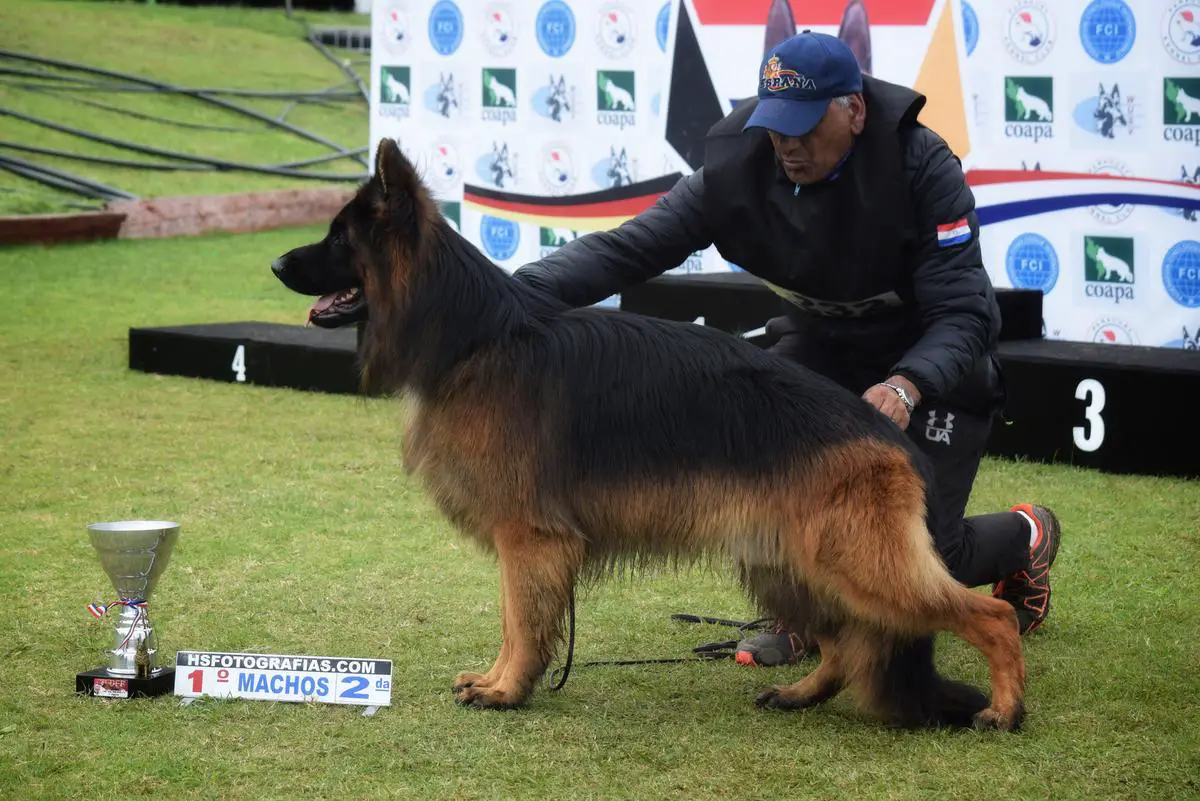 Ragnar de los Baguales