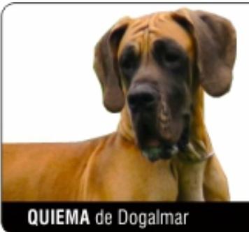 Quiema de Dogalmar