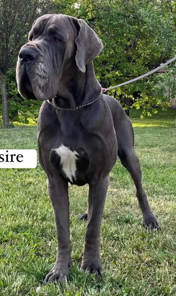 Rathinam De La Benjamine