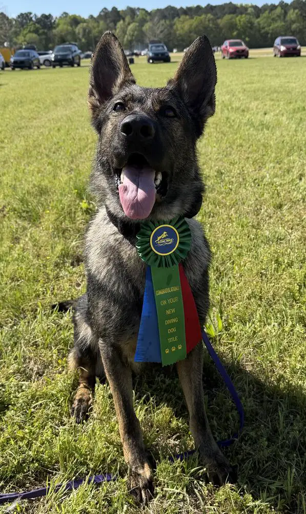 Hel Von Zitronen Bauernhof