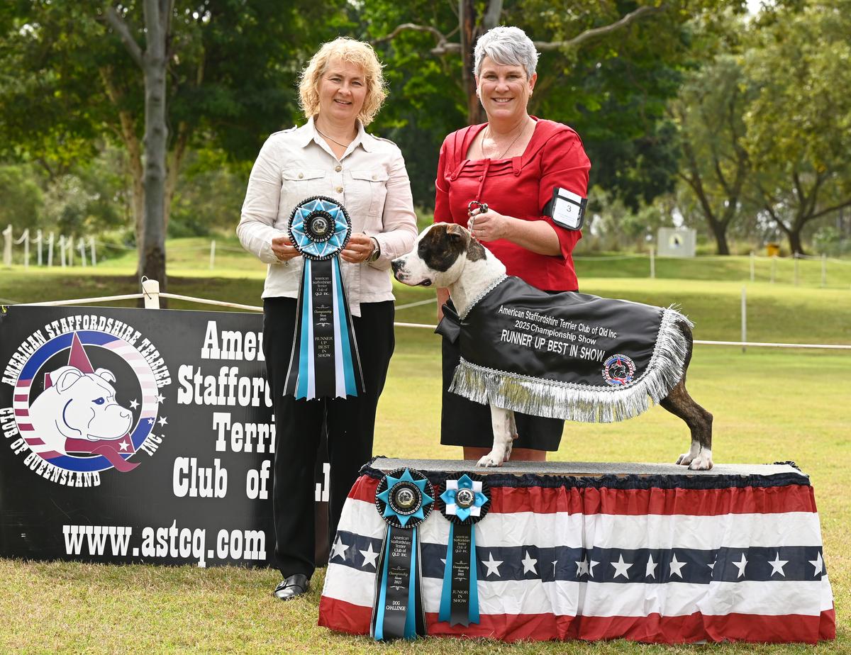 Jcozstyl rioliable W T Ladies