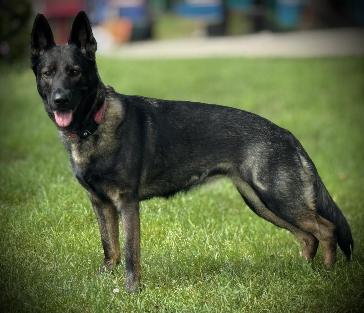 Giavanna of Granite Mountain