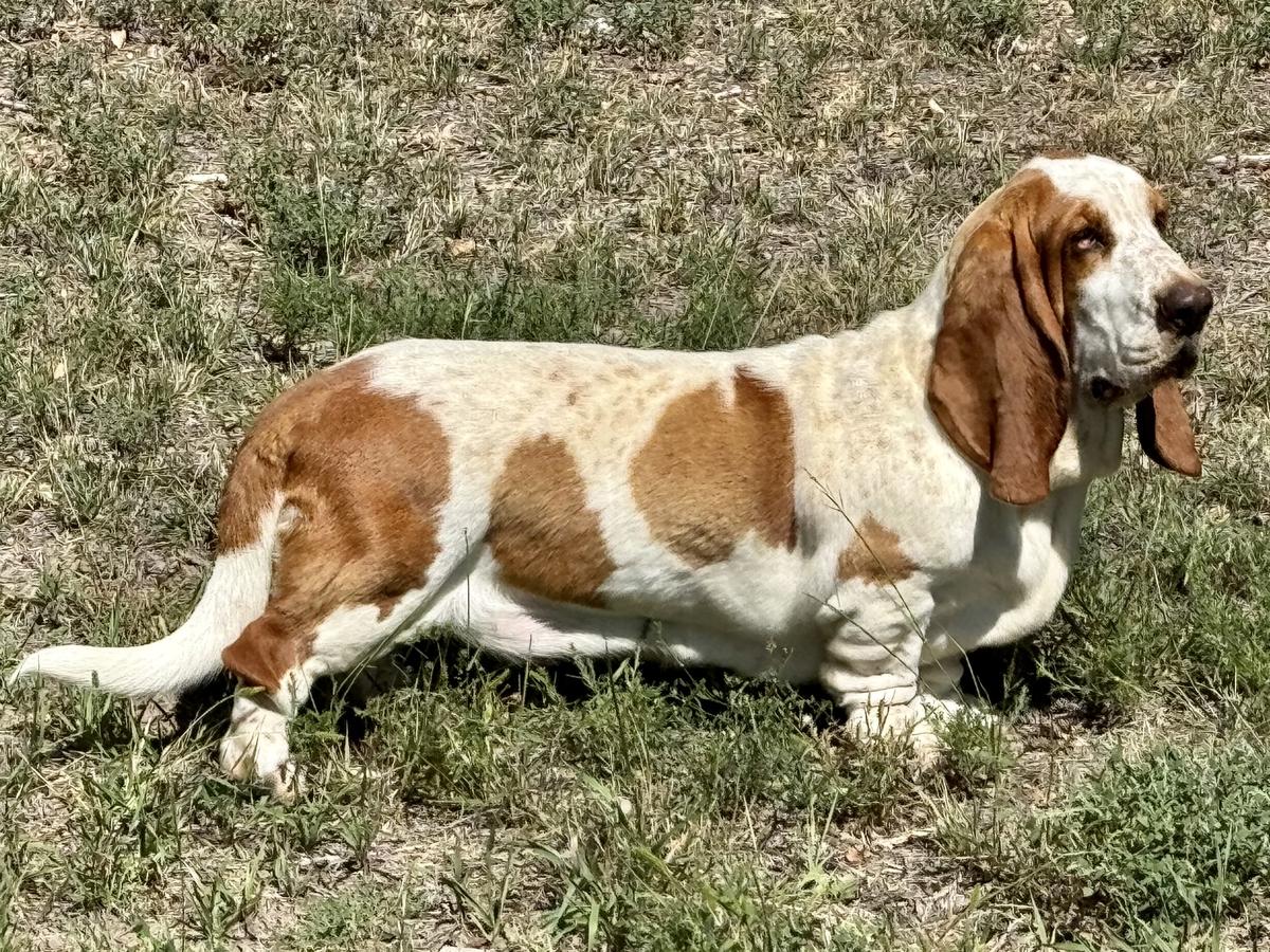 Christensen's Feisty Fiona