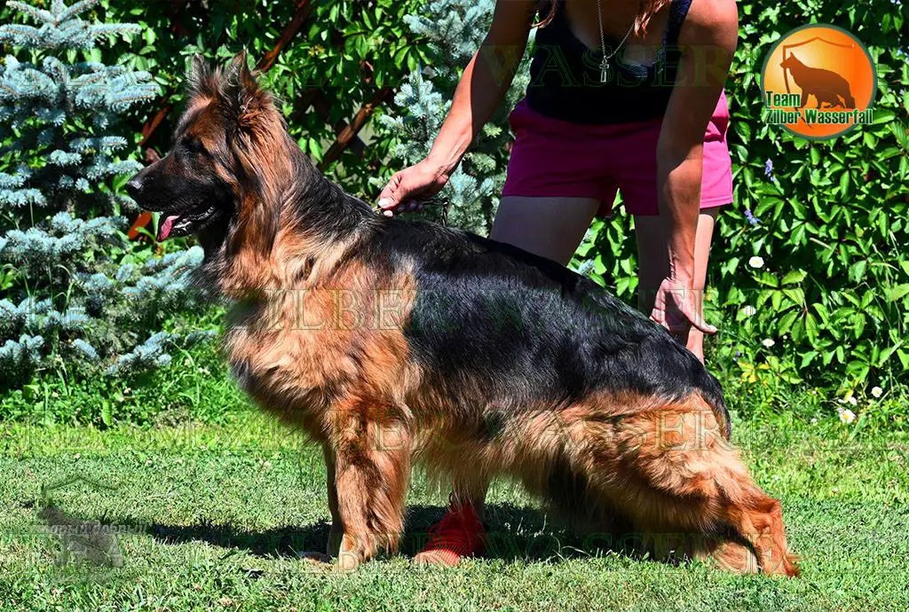 Team Zilber Wasserfall OSADA