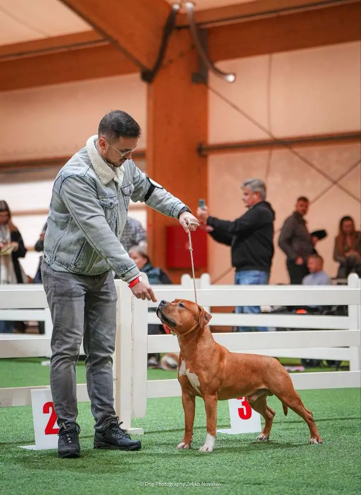 PC GRYZZLY Semper Invicta