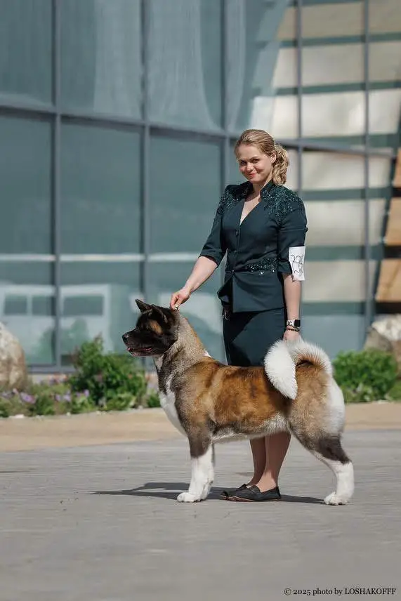 Karijini's Day Dreams