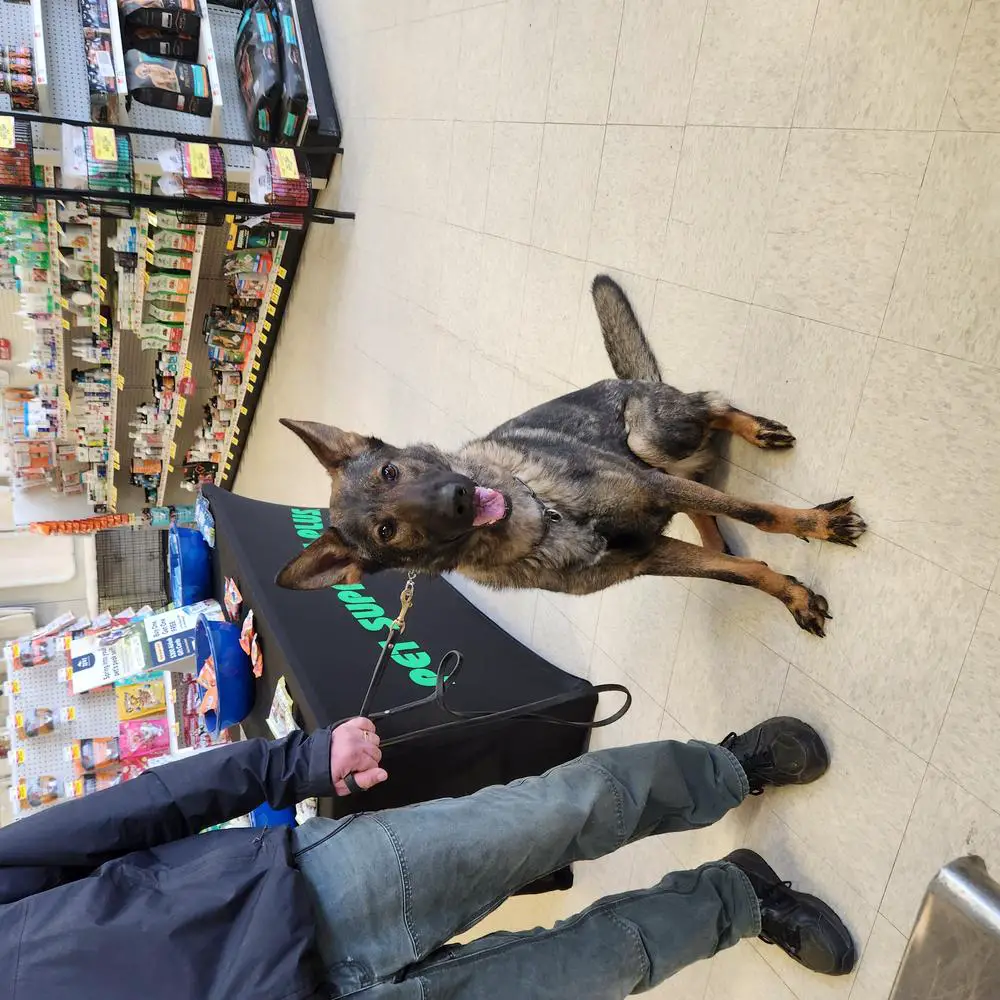 Guiness Von Heiligtum