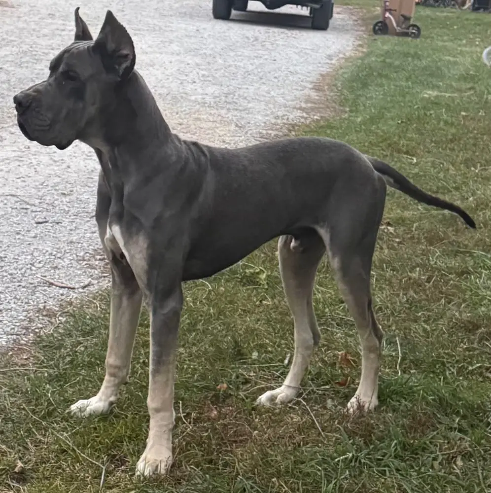 SMGD's Falling Into Clear Skies Of Mallard Lake