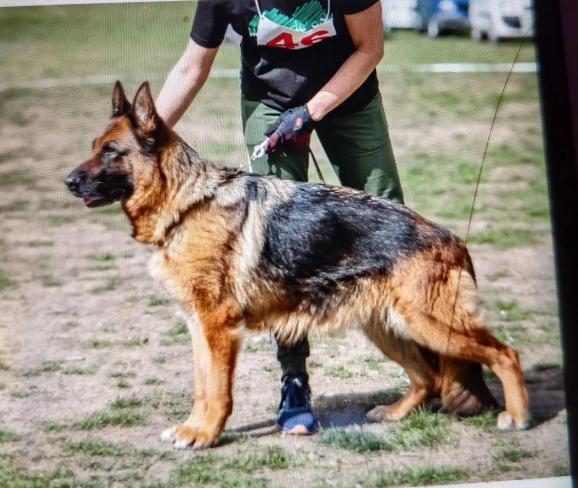 Team Zilber Wasserfall Olkara