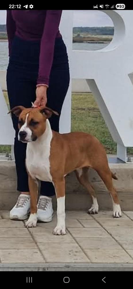 Euphoristica Feel The Sunshine