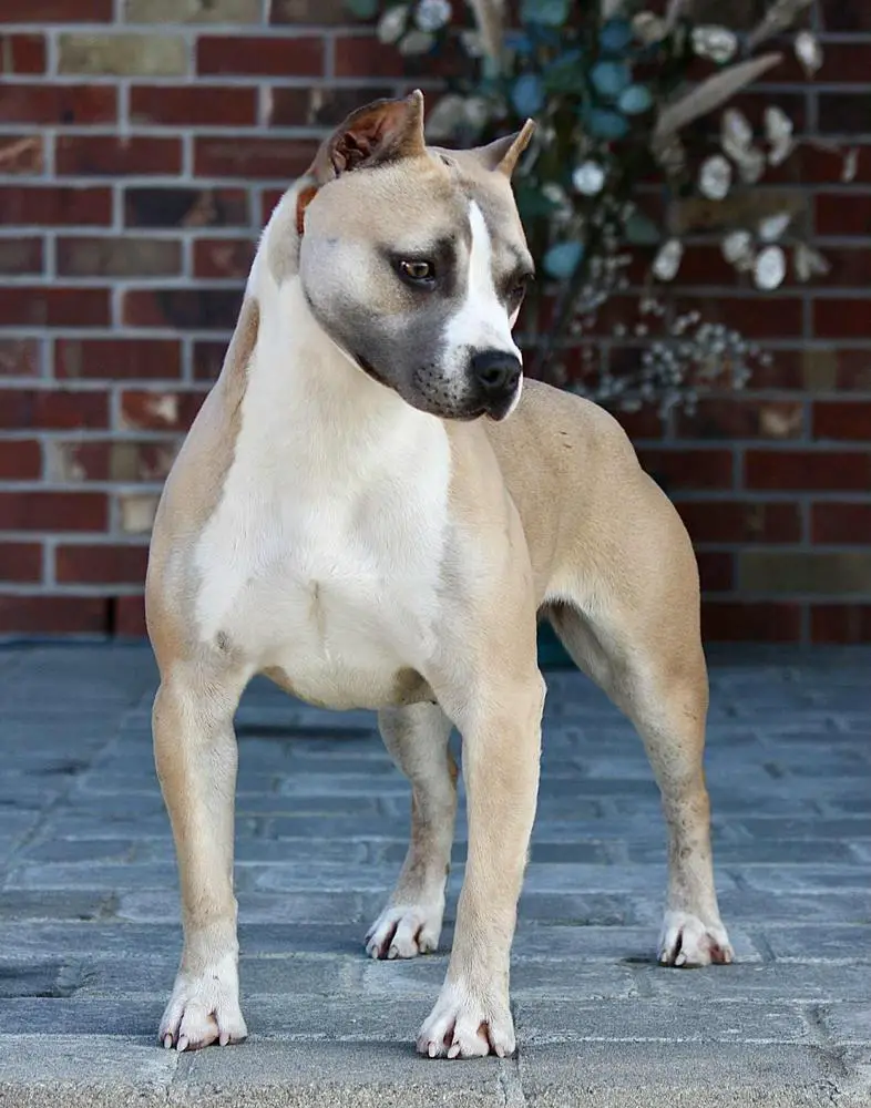 Bartin's In Case I Dont See Ya